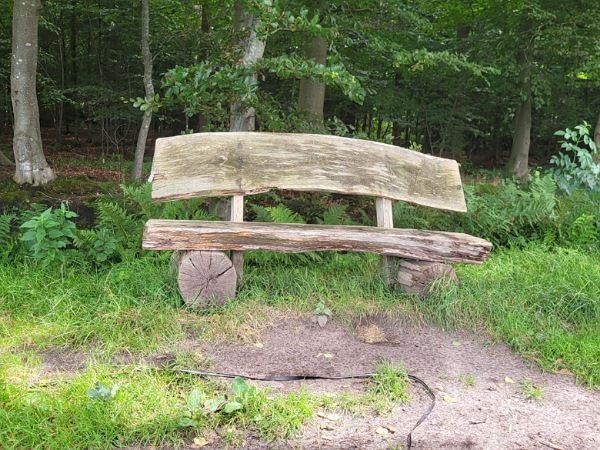 Zu sehen ist eine Holzbank am Waldrand. Sie steht an einem Weg der zwischen Wald und Feldern verläuft.