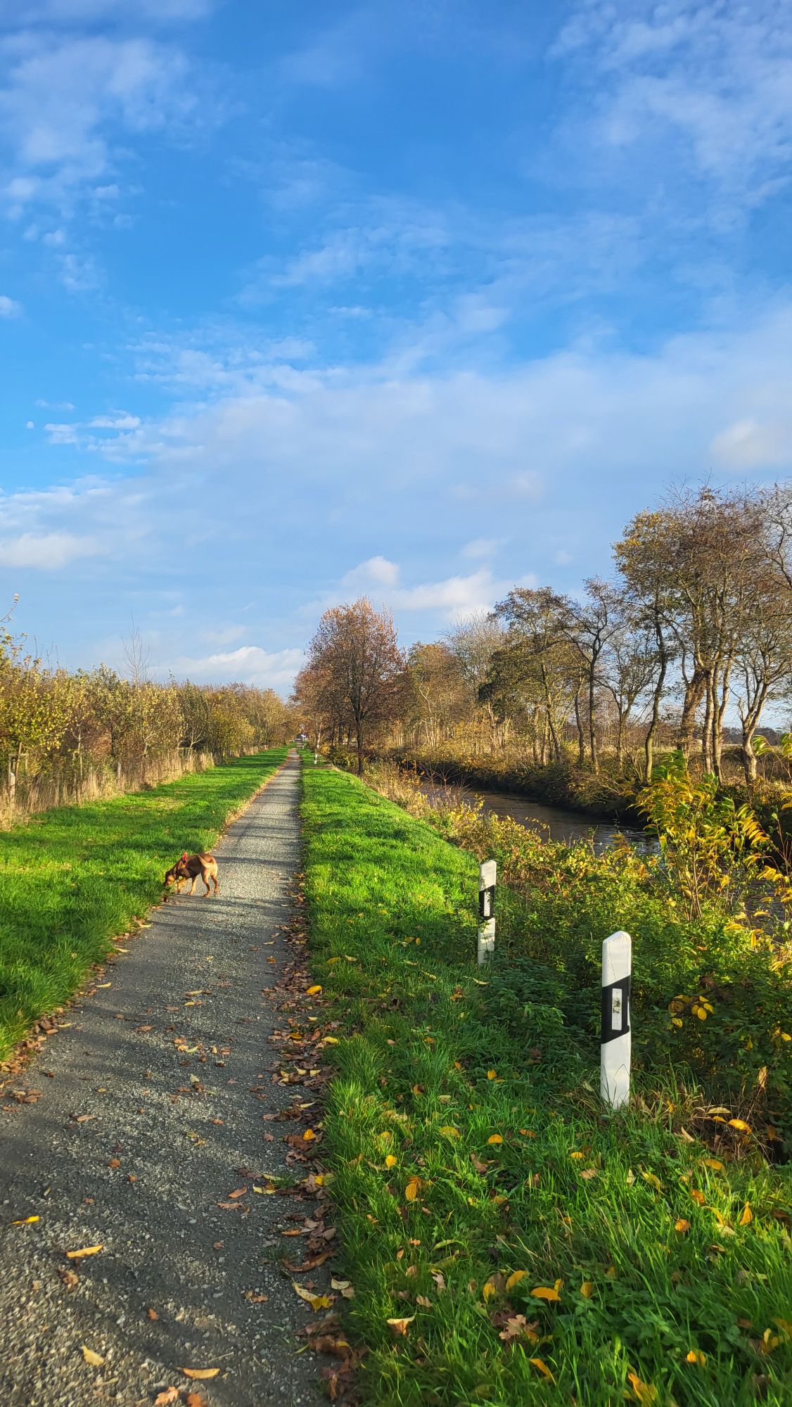 20251113_1438251498739798906142445