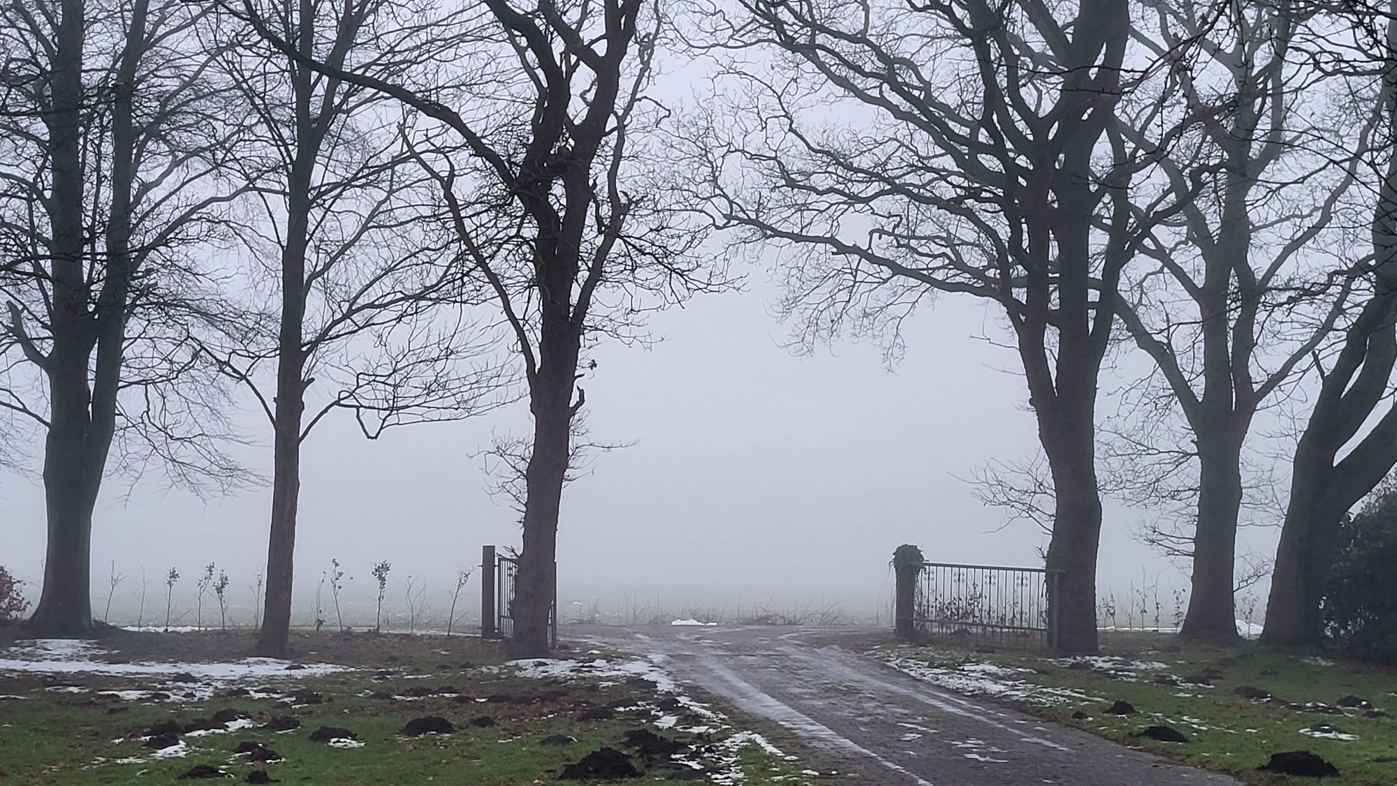 Monatsrückblick Januar 2026: Kleine Welt